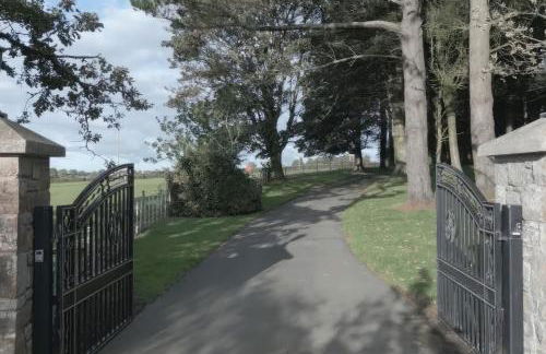 Tal Gwynedd - Foto 43