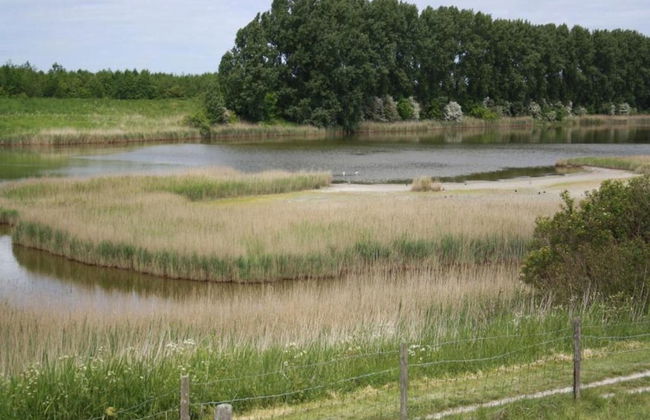 Holiday Home in Scherpenisse Near the Sea - Photo 32