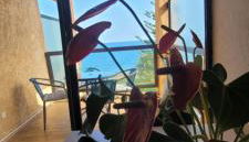 Santa Lucia Dream - Foto 2