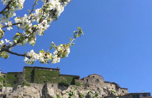 Linda's Holiday Home - Foto 40