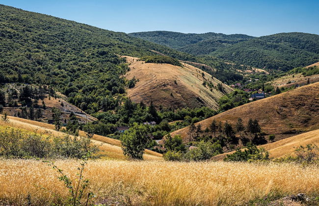 Apartments Eibenthal - Foto 41