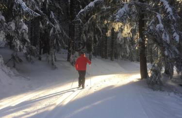 Komfortable Wohnungen und Studio in Sankt Englmar - Foto 44