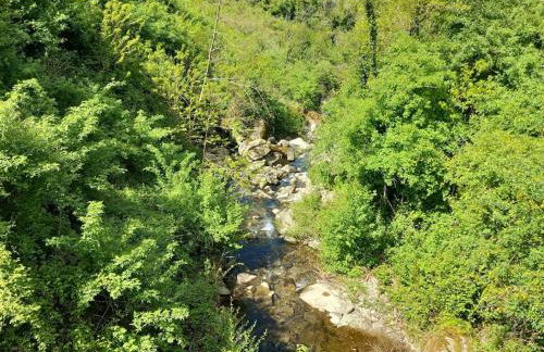 Casa Foresto, Vallombrosa, wifi, pet friendly - Foto 26