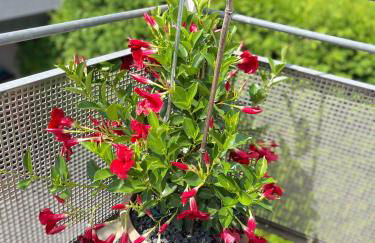 Dream Flat near the fair - Apartment in Augsburg bei der Messe - Foto 39