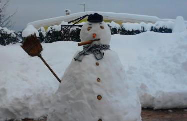 Appartamenti DOLOMITI - Foto 24