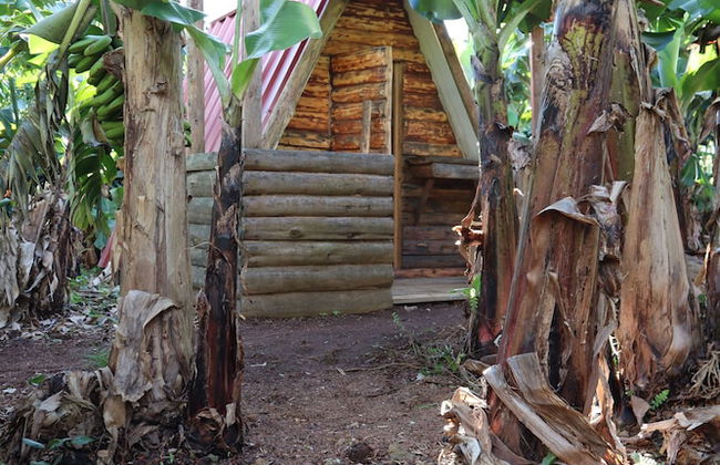 Banana Eco Camp - Foto 24