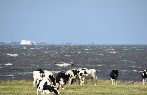 Friesenblau im Haus Schladenhaufen - Foto 23