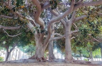 Enjoy the experience and details - Photo 63