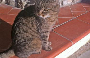 Agriturismo Il Palazzaccio - Foto 56