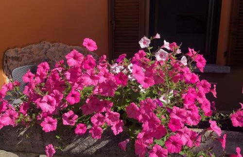 La Corte 1813 MXP Lago Maggiore Leonardo - Foto 20