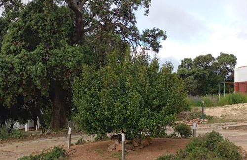 Casas Rurales Cortijo la Cañada - Photo 68