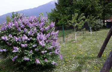 Apartment Gradina - Foto 34