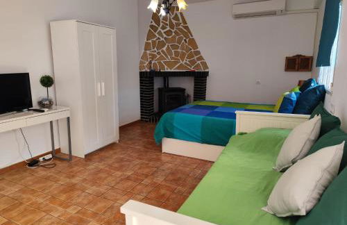 Studio Tropical - Foto 42