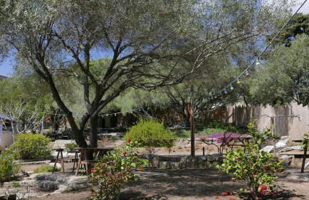 Les Figuiers - Foto 11