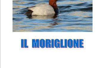 Country House Podere Lacaioli - Foto 19