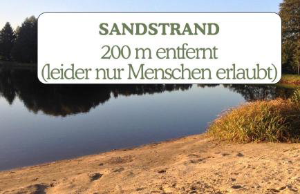 Hundeurlaub - Tiny House im Wald - Foto 13