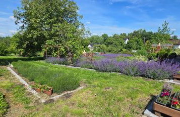 Agroturystyka u Joli - Foto 20