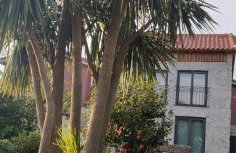 Quinta Lama de Cima - Photo 79