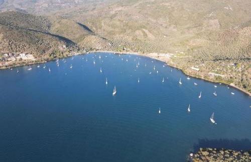 '' I FOLIA '' / ' 'LE NID '' - Foto 41