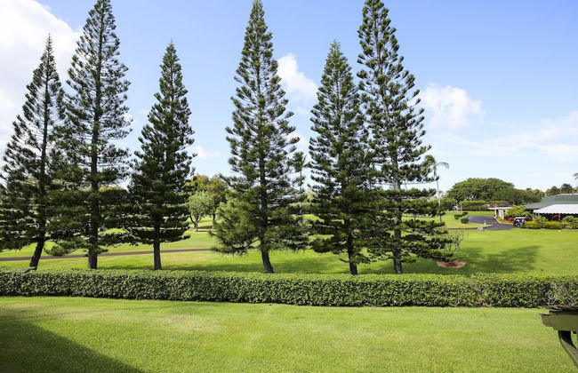 Turtle Bay Northshore Haven***ta074664550401 1 Bedroom Condo by RedAwning - Photo 26