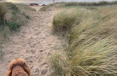 L'Air Marin - Photo 15