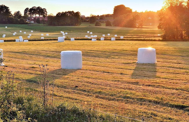 5 Person Holiday Home in Karna - Foto 3