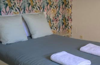 Le jungle, hyper centre, balcon et terrasse - Photo 24