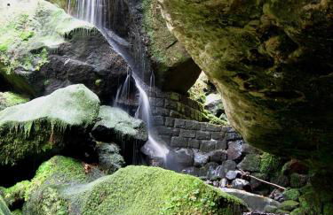 Ferienwohnung am kleinen Bärenstein 01796 Struppen OT Thürmsdorf Thürmsdorfer Str 28 - Foto 33