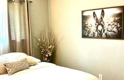 Stylish 4BR Retreat in Cypress - King Bed -Fireplace -Outdoor Patio - TVs in 4 Rooms - Foto 32