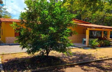 Sítio Wida Feliz - Foto 3