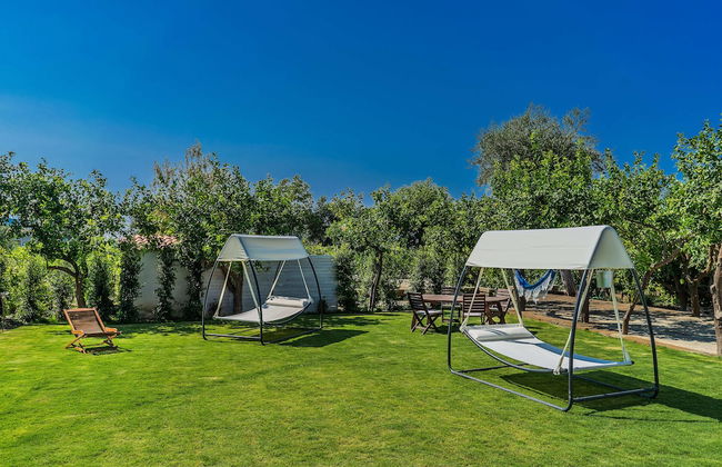 Lemon Factor Sorrento - Photo 1