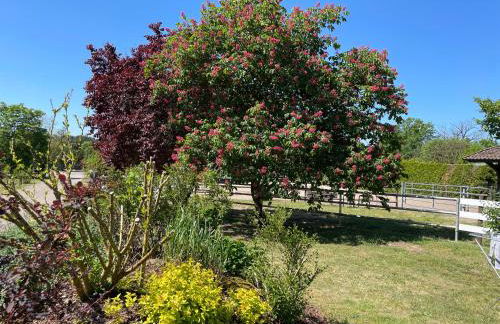 Ferienhof Kunzog - Foto 27