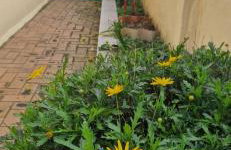 Tertium Home - Foto 18