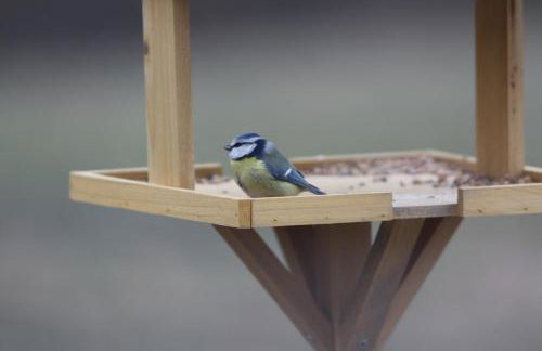 Ospitalita' Rurale Casa Cani - Photo 13