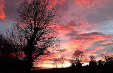 Ferienhaus Triebesgrund - Photo 25