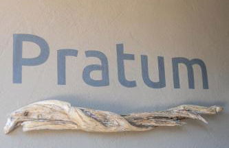 Berggut Niggler - Pratum - Foto 29