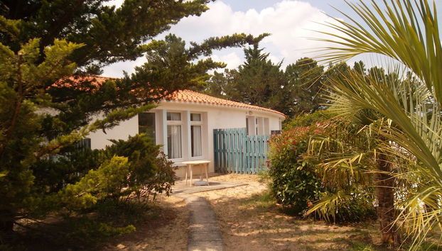 Terraço/pátio interior