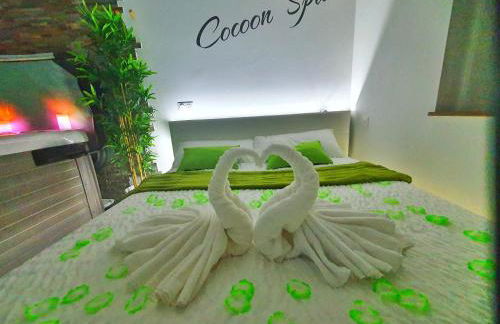 COCOON SPA-4 Pers-Jacuzzi-Parking-Jardin-Clim-Colmar - Foto 10