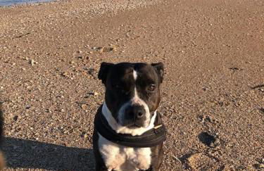 La petite chaumière sur le rivage - Photo 43