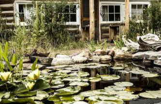 Log Casita Overlooking Pond and Waterfall near Taos, New Mexico - Foto 24