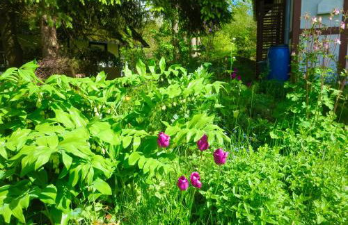 Natururlaub Frankenau - Foto 20