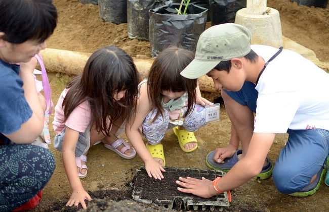 Bagus Agro Pelaga - Foto 73