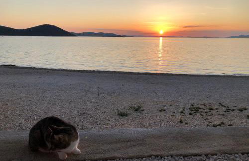 BUQEZ Eco Resort - beachfront 20 & House 42 - Foto 100