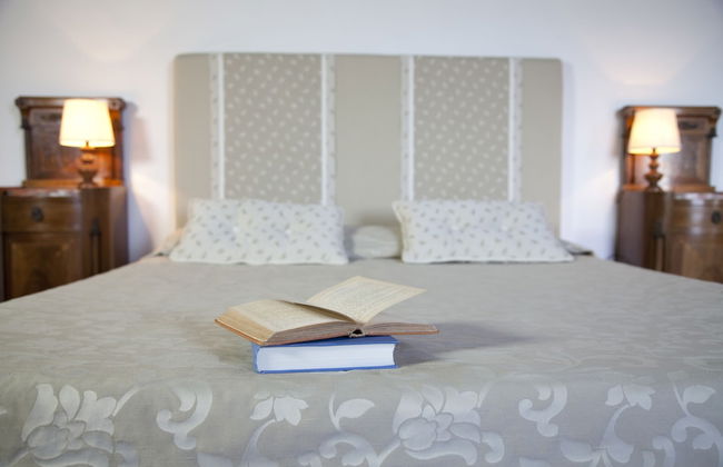 Castello Vicchiomaggio - Photo 8