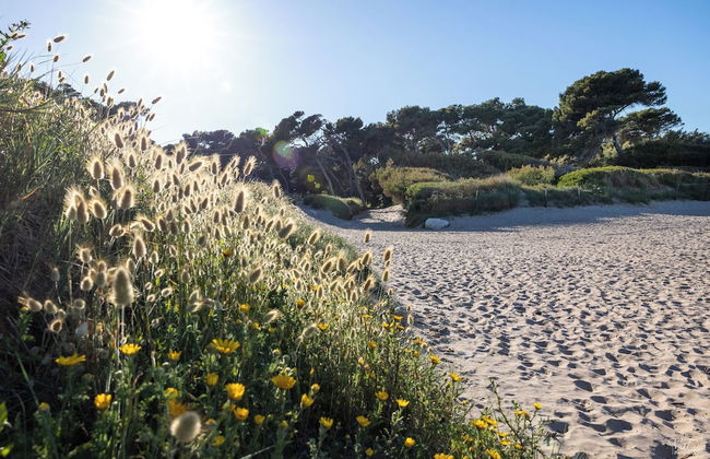 Villa Vue Mer La Californie – Face aux îles d’Or - Photo 52