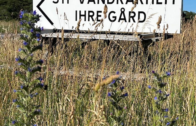 STF Ihre Gård - Foto 22