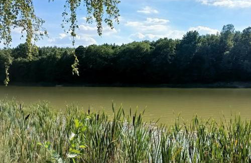 Smocze Ranczo - Foto 74