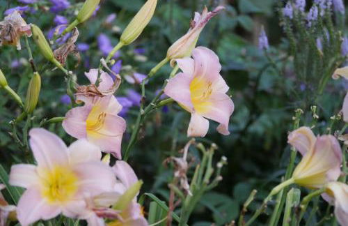 Kleine Villa im wilden Garten - Foto 5