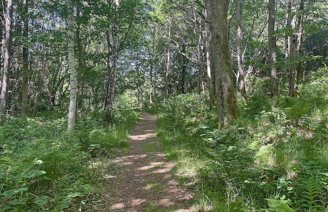 2 Person Holiday Home in Ellos - Foto 10