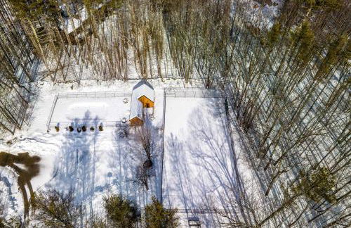 Cozy Conway Area Home about 4 Mi to Cranmore Mountain! - Foto 33